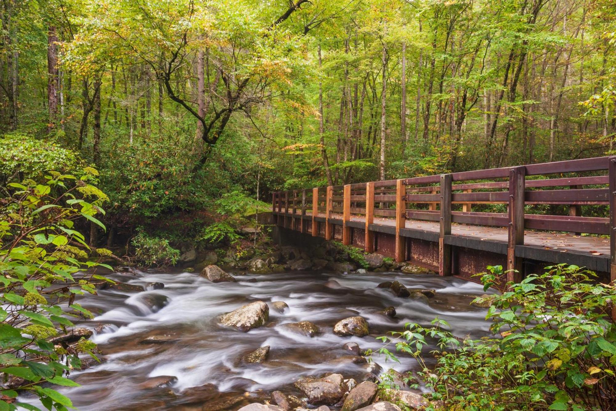 Smoky Mountain Serenity, Amazing Mountain Views 1089 Free Tickets Each Paid Day, Dollywood And More Sevierville Bagian luar foto